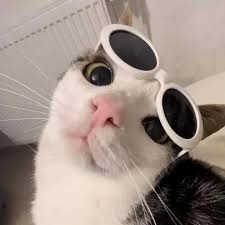 Павел Орлов